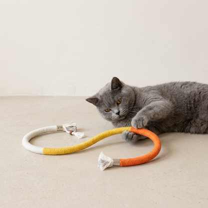 Interactive Chew Rope Toy for Cats & Dogs