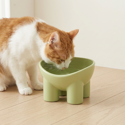 Elevated Tilted Cat Bowl with Anti-Tip Base