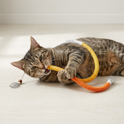 Interactive Chew Rope Toy for Cats & Dogs